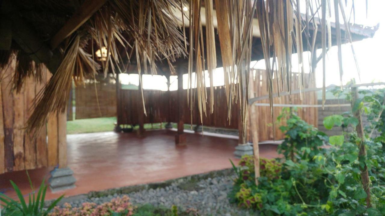 Bali Tiger Hideaway Pulukan Exterior foto