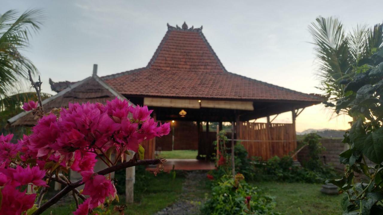 Bali Tiger Hideaway Pulukan Exterior foto