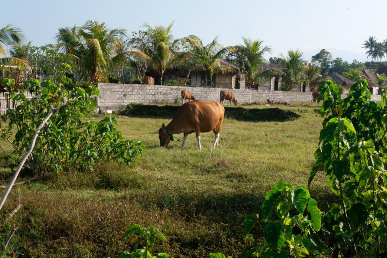 Bali Tiger Hideaway Pulukan Exterior foto